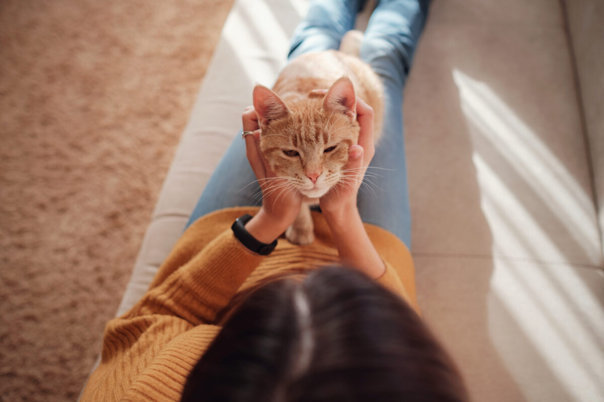 5/10 «Pet Day» Γιορτή με υιοθεσίες, συμβουλευτική από εκπαιδευτές και δραστηριότητες απο το Δήμο Νέας Σμύρνης και την Αστική Πανίδα του Δήμου Αθηναίων