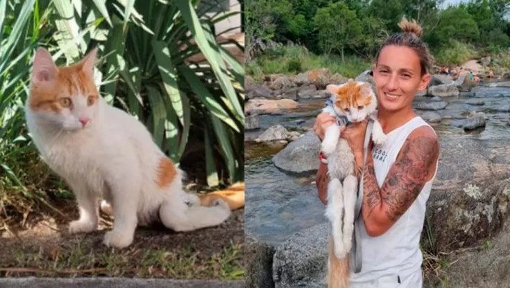 Γνωρίστε τον Captain: Η γενναία παράλυτη γάτα που κατάφερε να επιβιώσει στον δρόμο και να βρει μια παντοτινή οικογένεια
