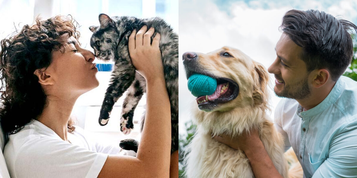 10 συμβουλές για το πώς να γίνετε Pet Sitter – Όλα όσα πρέπει να ξέρετε